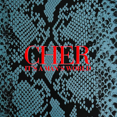 Cher - It'S A Man'S World Deluxe Limited Ed. Box
