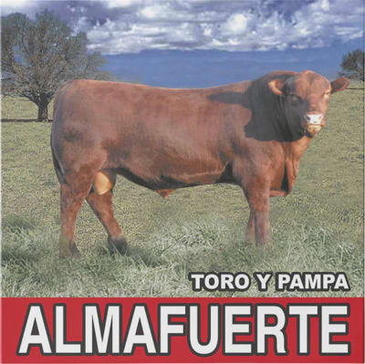 Almafuerte - Toro Y Pampa