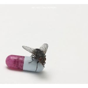 CD RED HOT CHILI PEPPERS/ I´M WITH YOU 1CD
