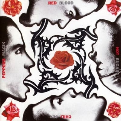 VINILO RED HOT CHILI PEPPERS/ BLOOD SUGAR SEX MAGIK REM  2LP