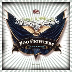 VINILO FOO FIGHTERS/ IN YOUR HONOR 2LP 1