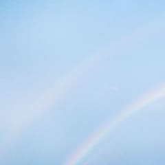 VINILO TURNSTILE/ NEVER ENOUGH 1LP 0