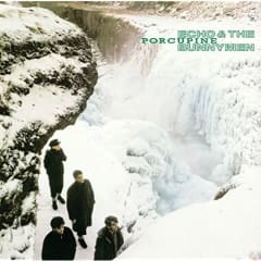 VINILO ECHO & THE BUNNYMEN/ PORCUPINE 1LP 0