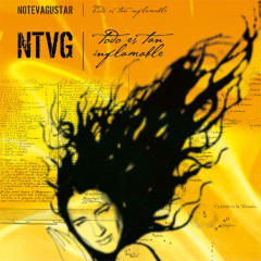 VINILO NO TE VA GUSTAR/ TODO ES TAN INFLAMABLE 1LP 0