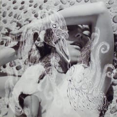 VINILO BJORK/ VESPERTINE 2LP 0