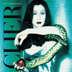 VINILO CHER/ IT'S A MAN'S WORLD 2LP 0