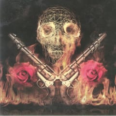 VINILO GUNS N' ROSES/ LIVE IN NEW YORK 1988 (Red Vinyl) 2LP 0