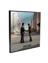 CUADRO PINK FLOYD - WISH YOU WERE HERE CRYSTAL CLEAR PICTURE 0
