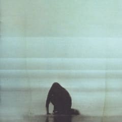 CD FOALS/ WHAT WENT DOWN 1CD 0