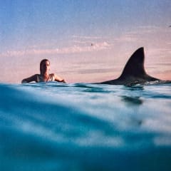 VINILO DUA LIPA/ RADICAL OPTIMISM (BLUE VINYL) 1LP 0