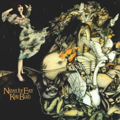 VINILO KATE BUSH/ NEVER FOREVER 1LP 0