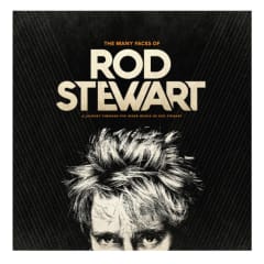 VINILO VARIOS ARTISTAS/ THE MANY FACES OF ROD STEWART 2LP 0
