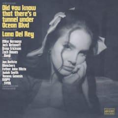 VINILO LANA DEL REY/ DID YOU KNOW THAT THERE'S A TUNNEL  2LP 0