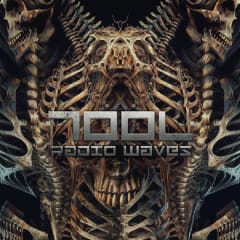 CD TOOL/ RADIO WAVES 6CD 0