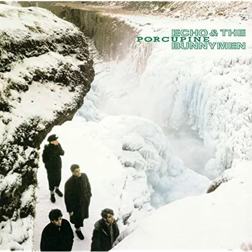 VINILO ECHO & THE BUNNYMEN/ PORCUPINE 1LP1
