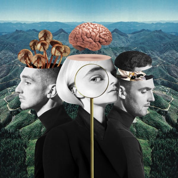 VINILO CLEAN BANDIT/ WHAT IS LOVE (RED) 2LP1