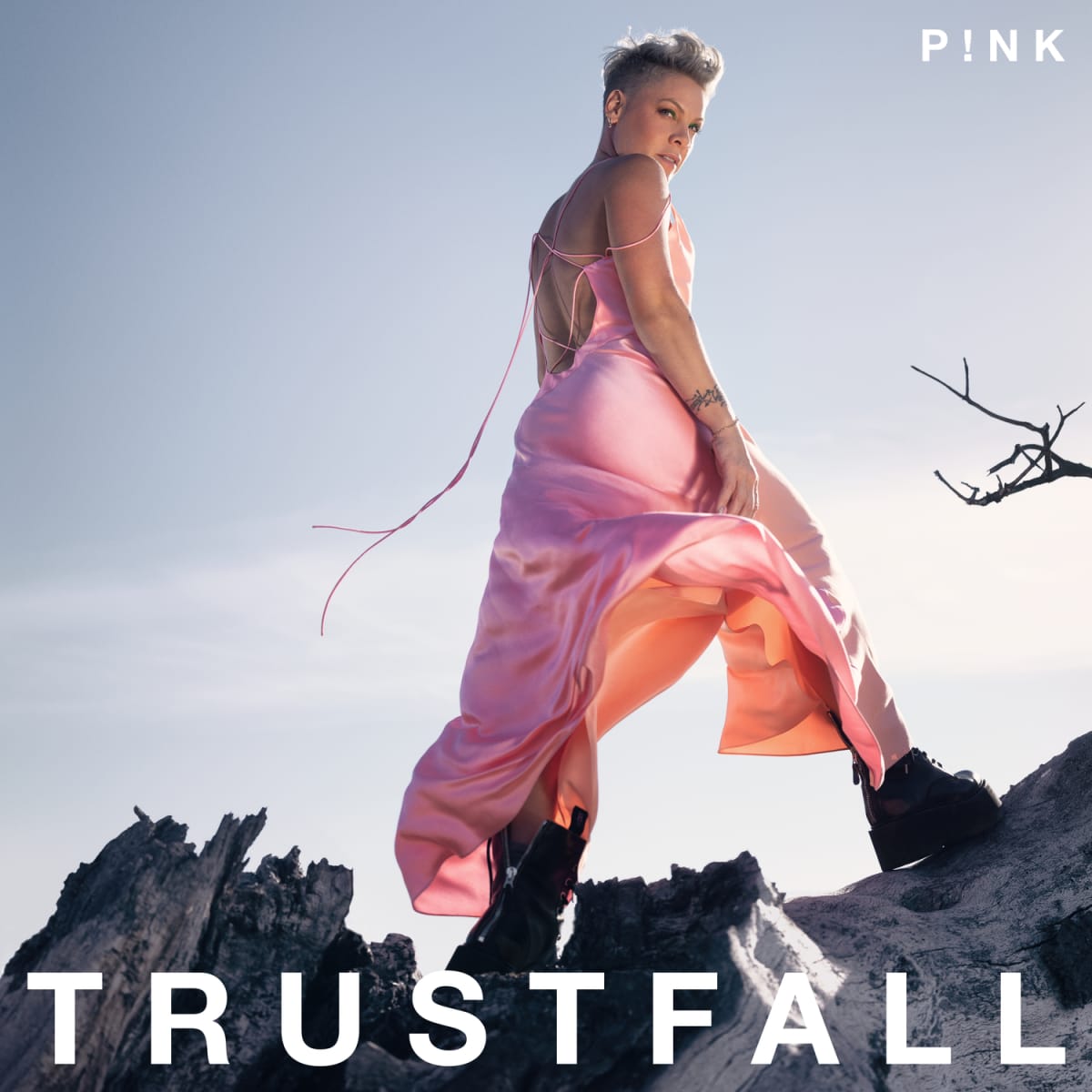 VINILO PINK/ TRUSTFALL 1LP1