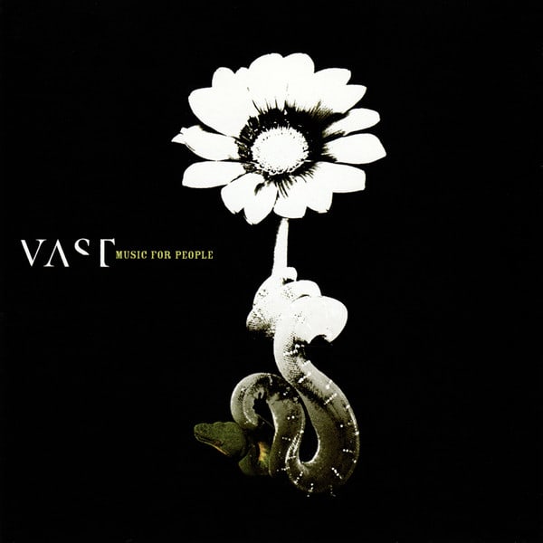 CD VAST/ MUSIC FOR PEOPLE 1CD1