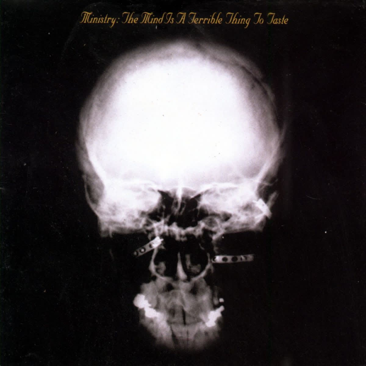 VINILO MINISTRY/ THE MIND IS A TERRIBLE THING TO TASTE 2LP1