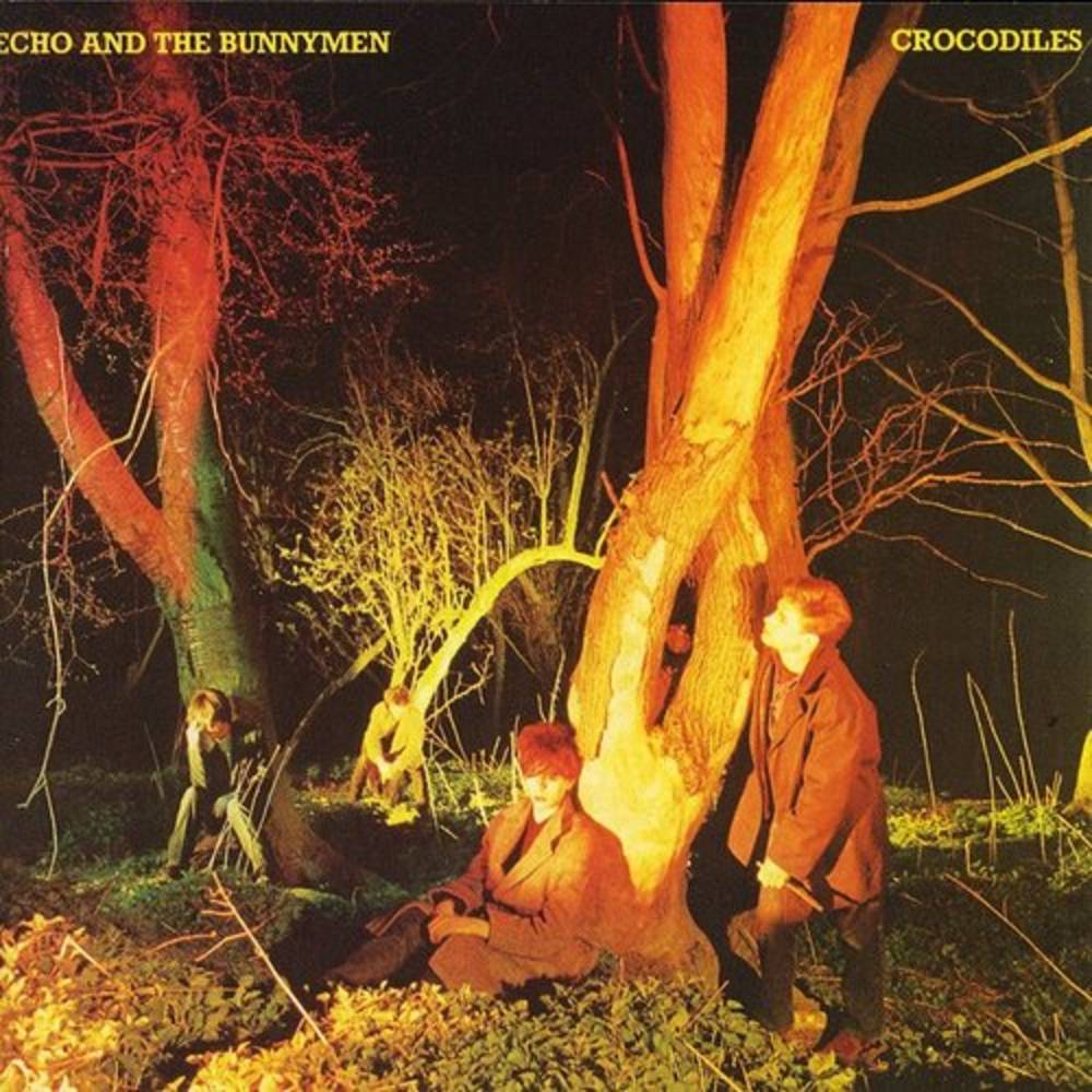 VINILO ECHO & THE BUNNYMEN/ CROCODILES 1LP1