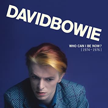 VINILO DAVID BOWIE / WHO CAN I BE NOW 1974 1976 BOX 13LP1
