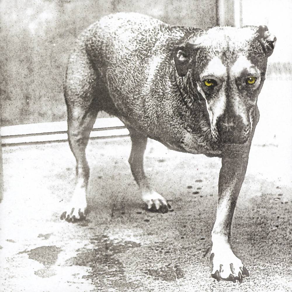 VINILO ALICE IN CHAINS/ ALICE IN CHAINS 2LP1