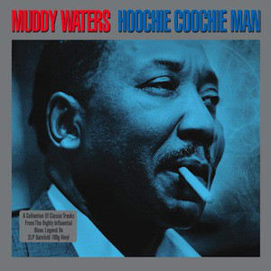 VINILO MUDDY WATERS/ HOOCHIE COOCHIE MAN (GREY VINYL) 2LP1