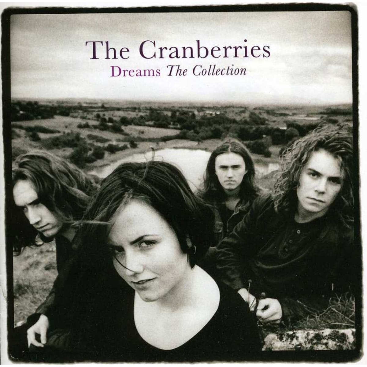 VINILO THE CRANBERRIES / DREAMS - THE COLLECTION 1LP1