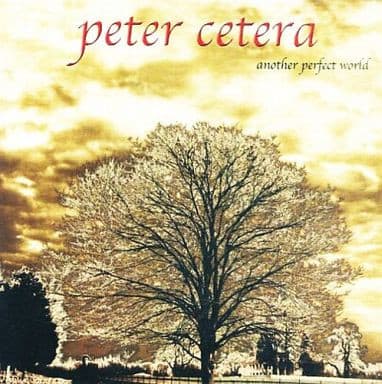 CD PETER CETERA/ ANOTHER PERFECT WORLD 1CD1