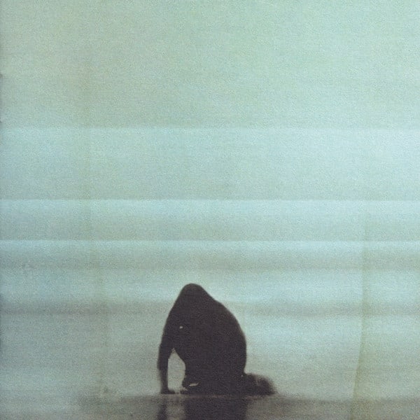 CD FOALS/ WHAT WENT DOWN 1CD1