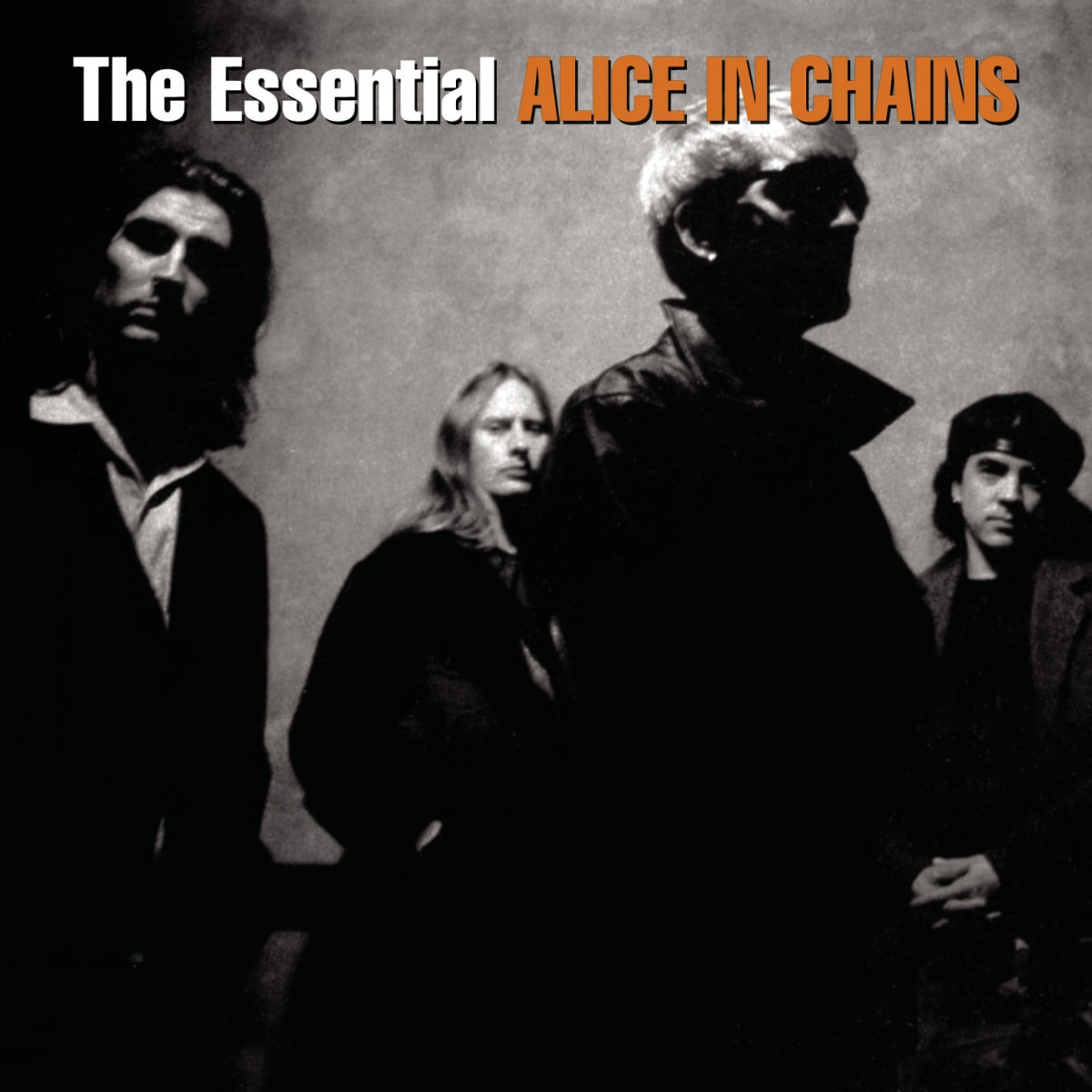 CD ALICE IN CHAINS/ THE ESSENTIAL 2CD1
