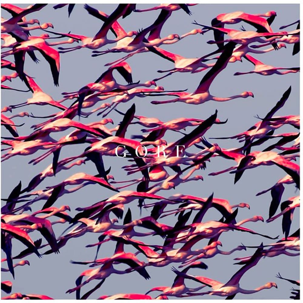 CD DEFTONES / GORE 1CD1