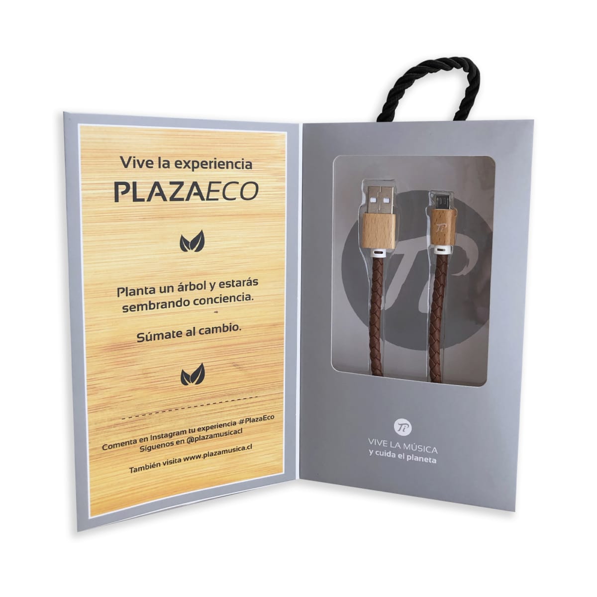 CABLE PI USB / STANDAR BROWN1