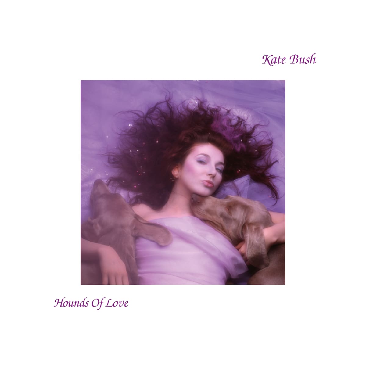 VINILO KATE BUSH/ HOUNDS OF LOVE 1LP1