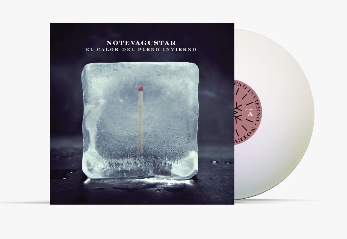 VINILO NO TE VA GUSTAR/ NTVG - EDICION 30 AÑOS 9LP (BOX SET)4