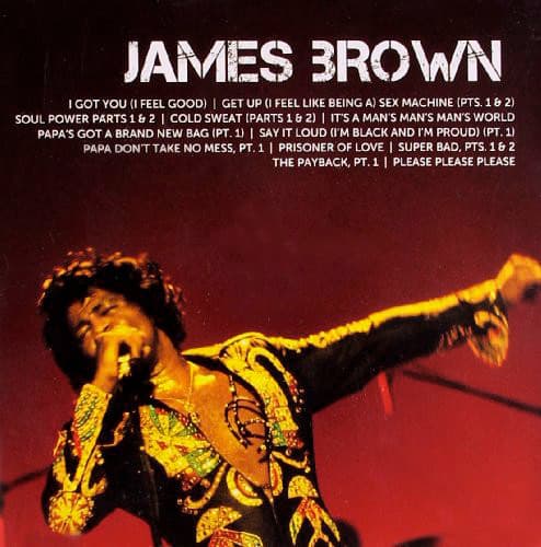 CD JAMES BROWN/ ICON 1CD1