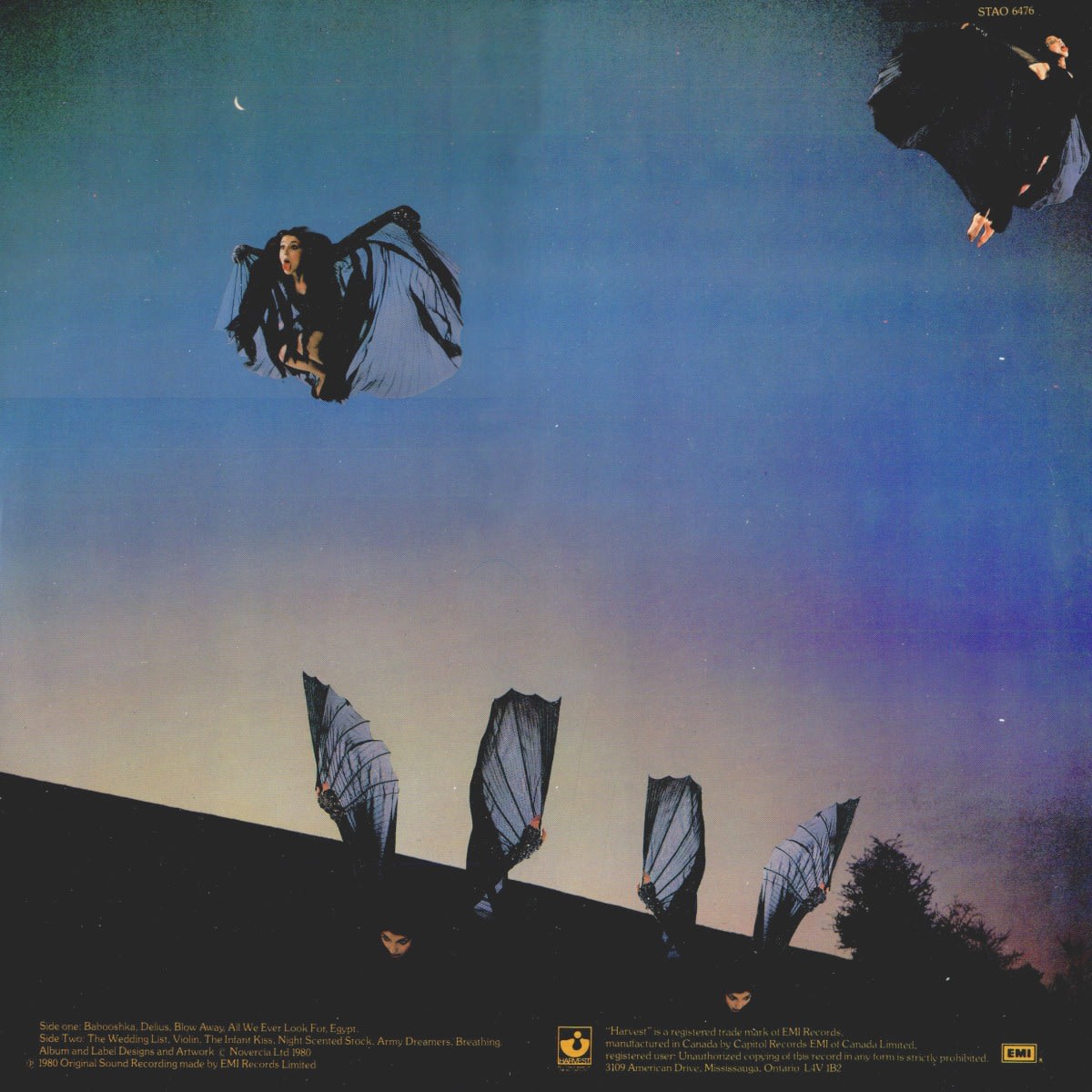 VINILO KATE BUSH/ NEVER FOREVER 1LP2