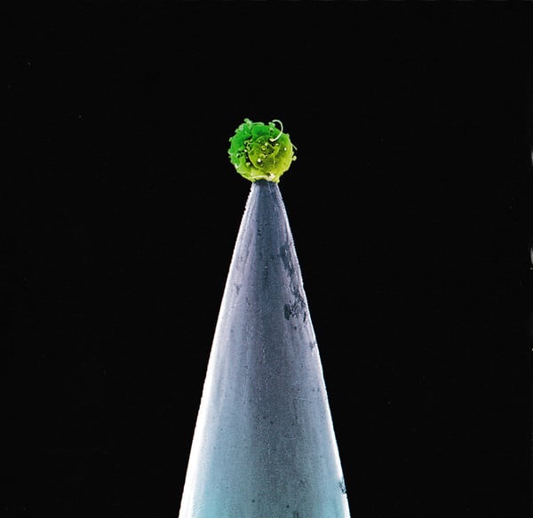 CD PETER GABRIEL/ NEW BLOOD 1CD1