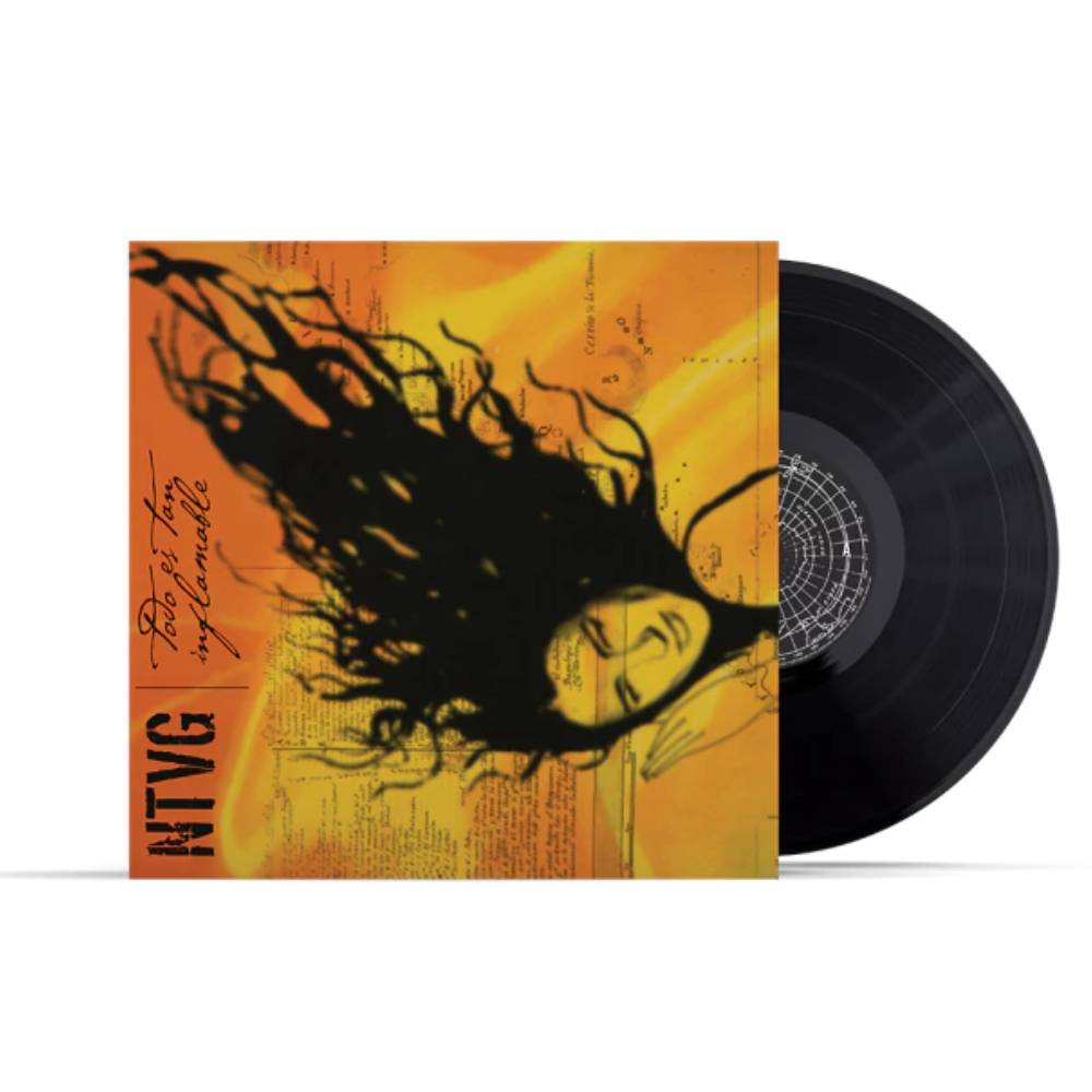 VINILO NO TE VA GUSTAR/ TODO ES TAN INFLAMABLE 1LP2