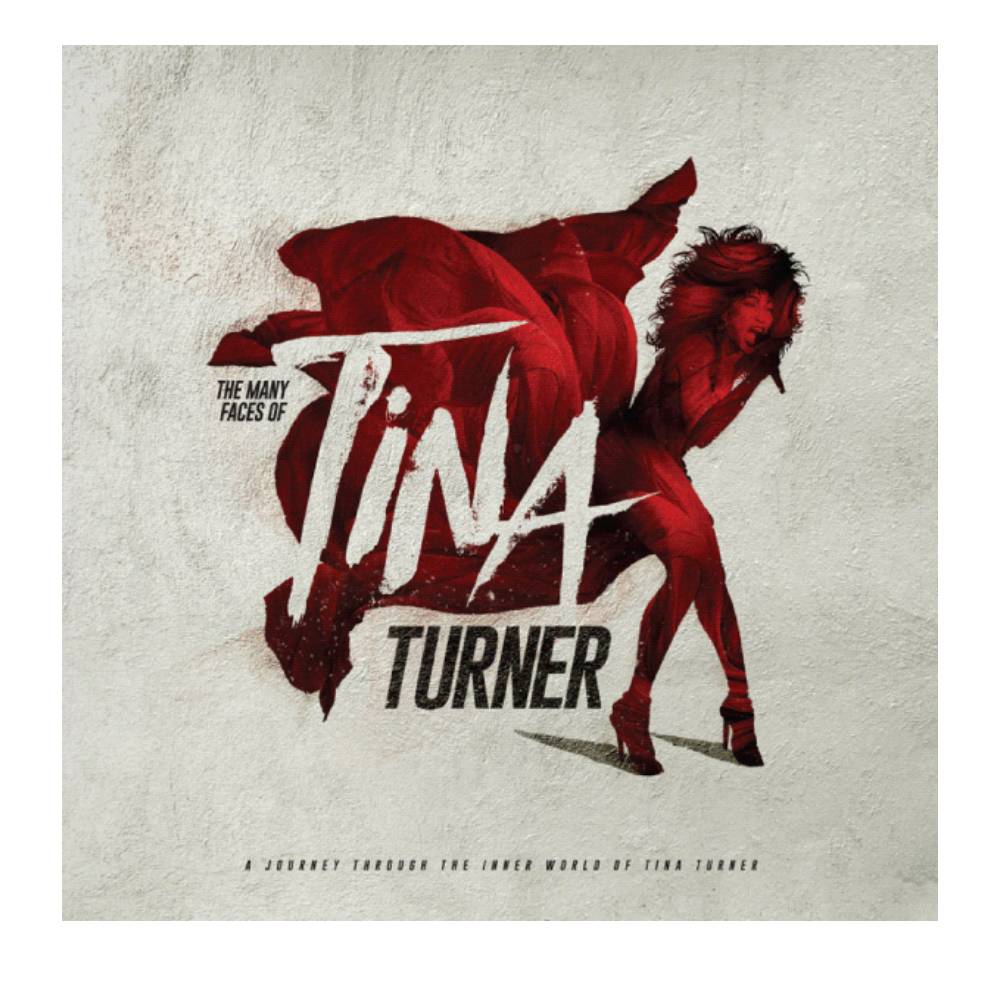 VINILO VARIOS ARTISTAS/ THE MANY FACES OF TINA TURNER 2LP1