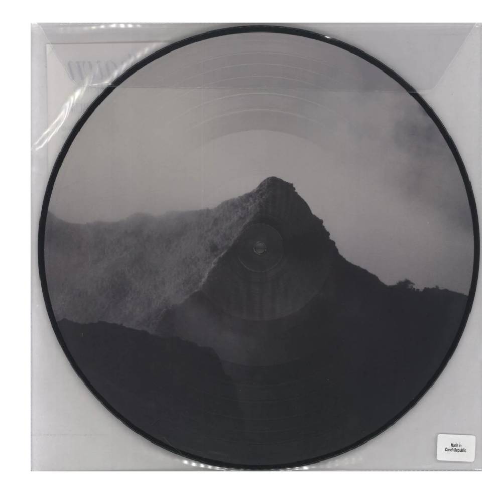 VINILO SHAWN MENDES/ SHAWN (PICTURE DISC) 1LP2