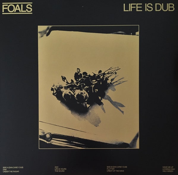 VINILO FOALS/ LIFE IS DUB 1LP1