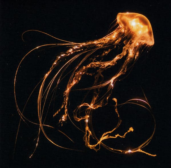 CD ROYAL BLOOD/ BACK TO THE WATER BELOW 1CD1