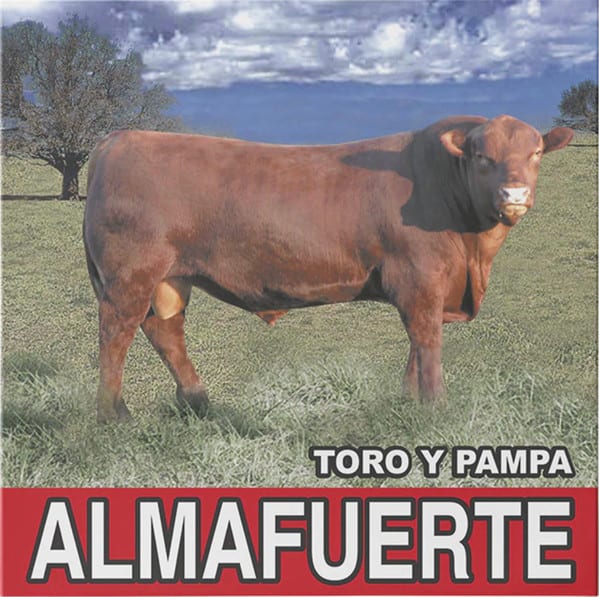 VINILO ALMAFUERTE/ TORO Y PAMPA 1LP1