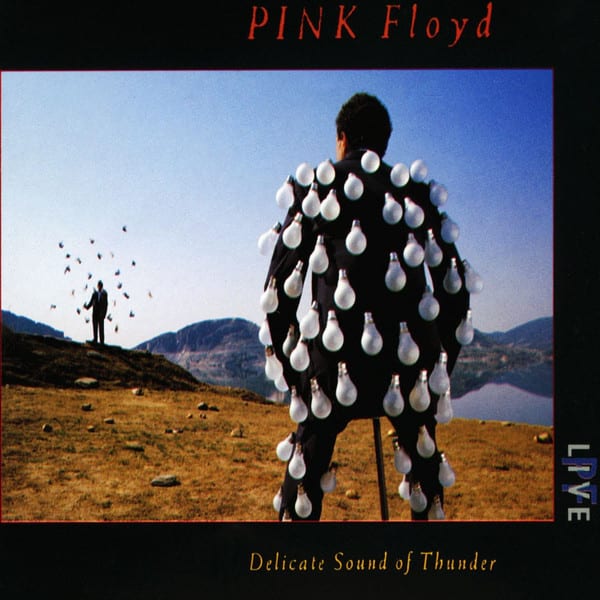 CD PINK FLOYD/ DELICATE SOUND OF THUNDER (Remastered) 2CD1