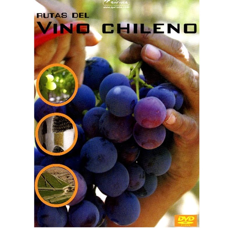DVD RUTAS DEL VINO CHILENO 1DVD1