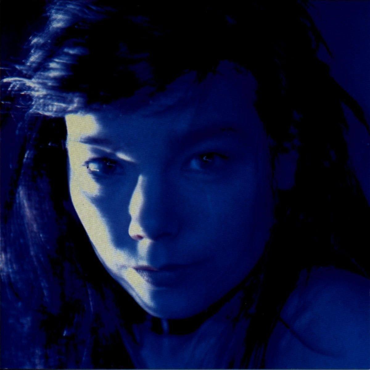 VINILO BJORK / TELEGRAM (LIMITED EDITION) 2LP1