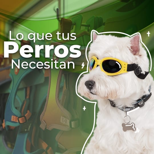perros