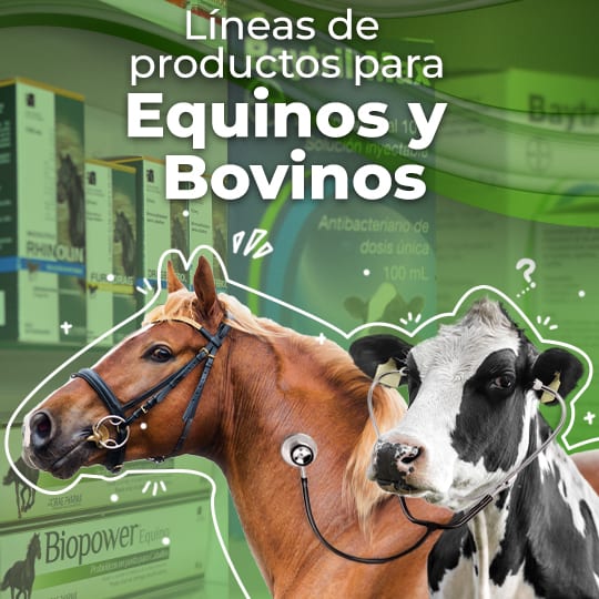 collection/farmacia animal mayor