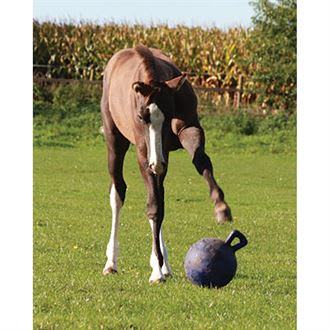 JP pelota con asa morada
